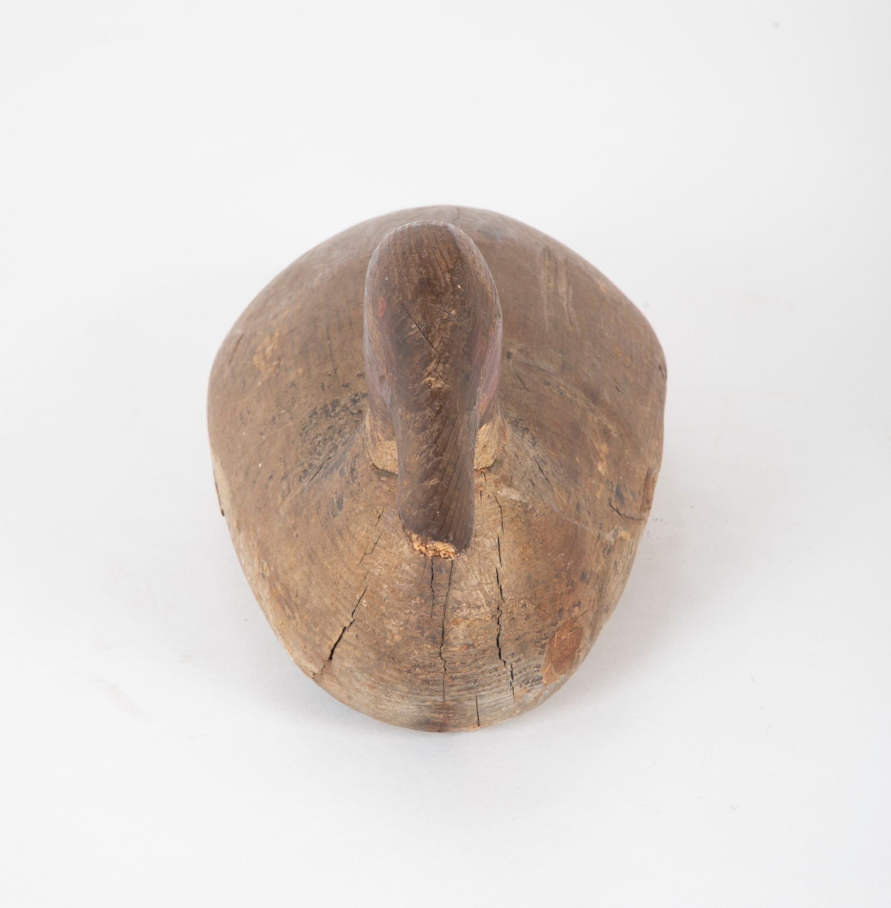 A Canvas Back Drake Decoy from The Eastern Shore, Maryland