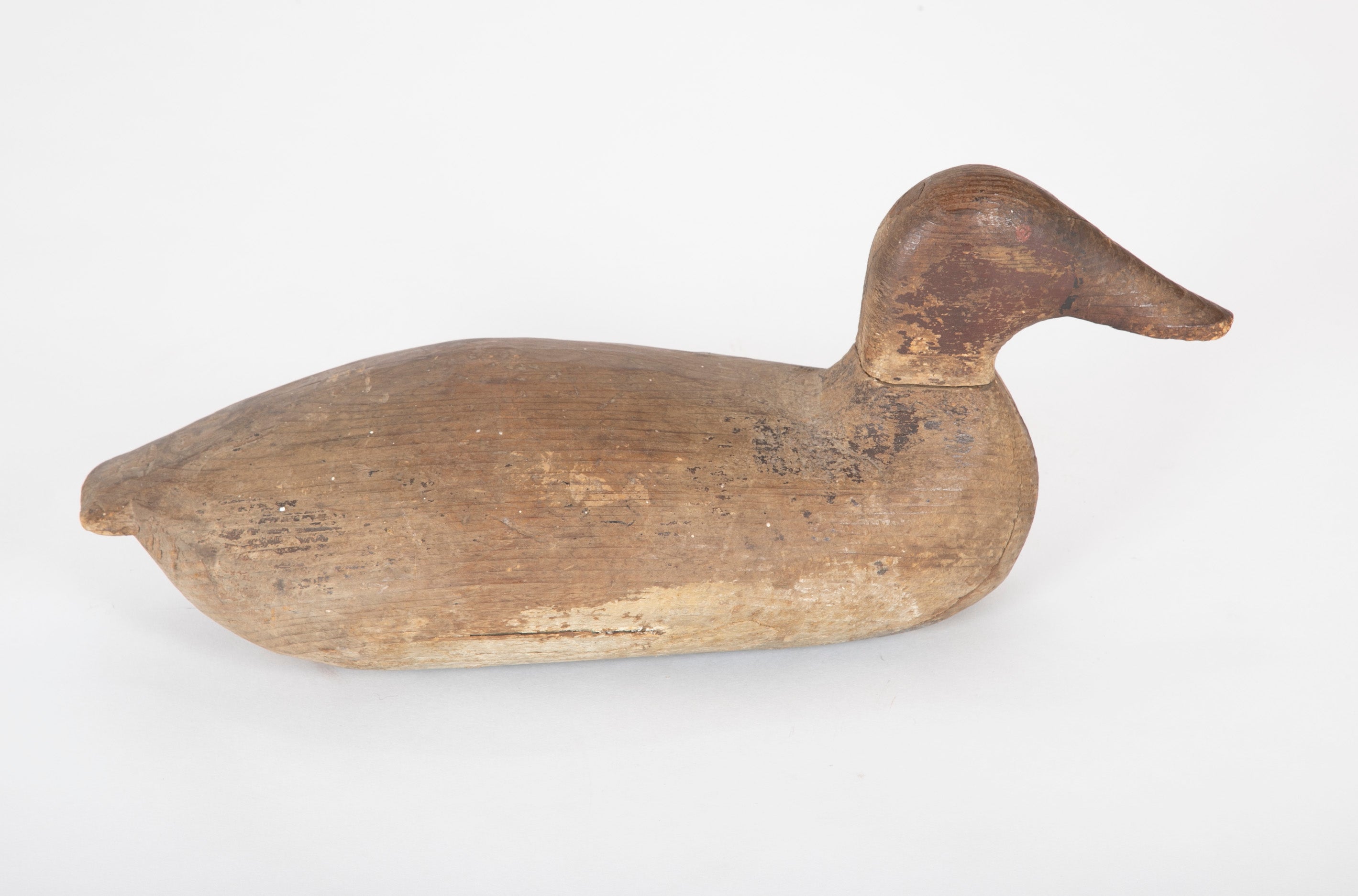 A Canvas Back Drake Decoy from The Eastern Shore, Maryland