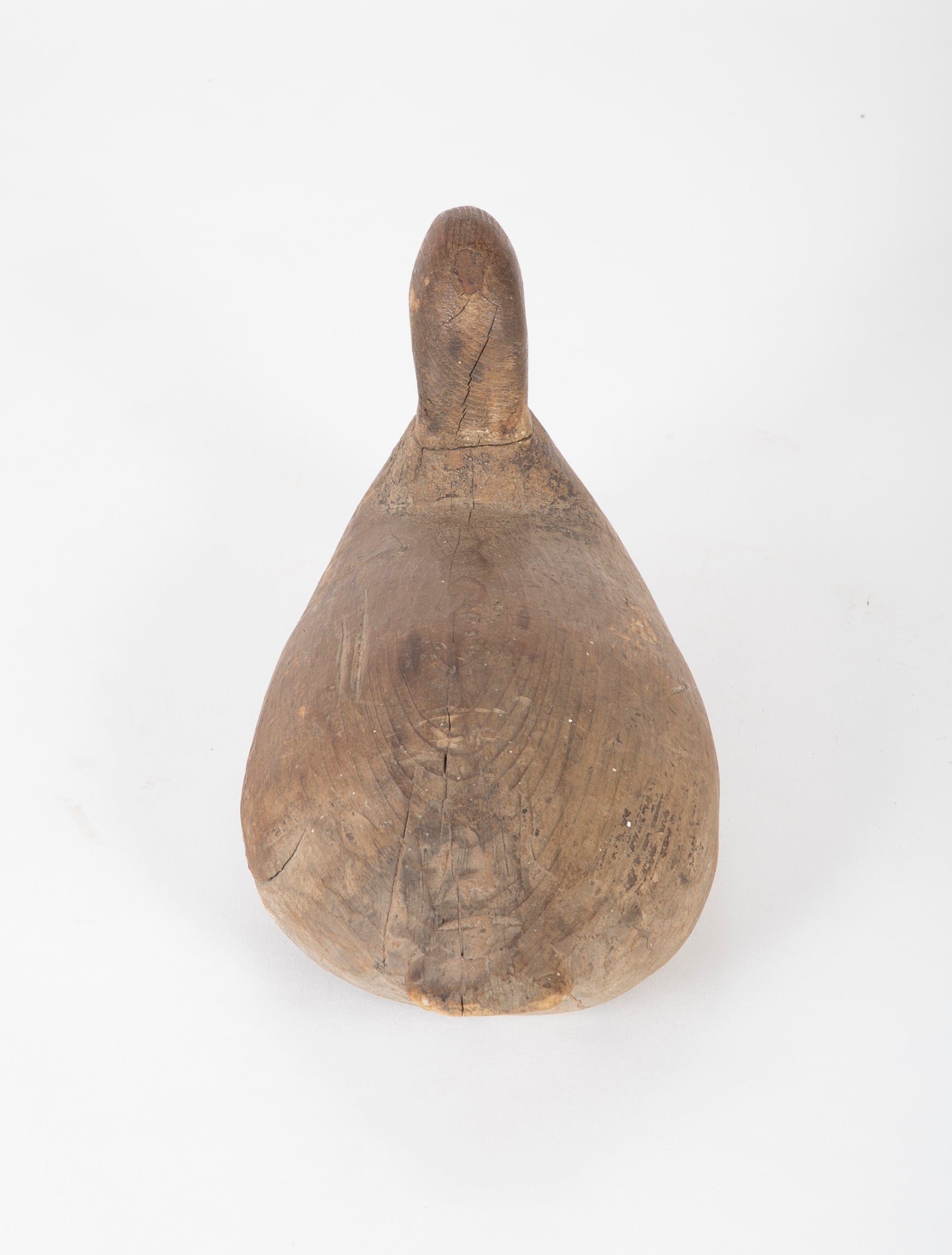 A Canvas Back Drake Decoy from The Eastern Shore, Maryland