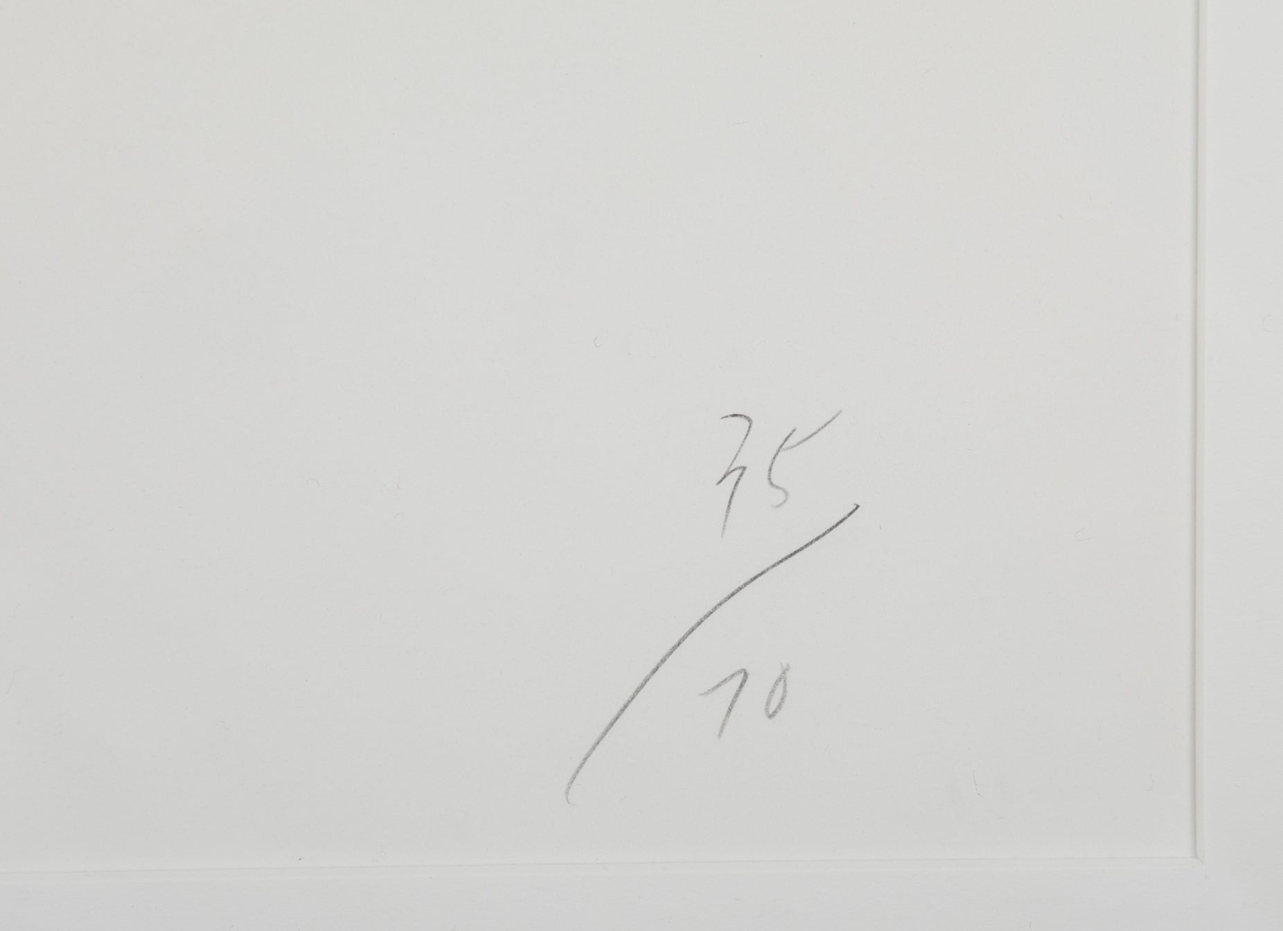 Donald Sultan, Lilies Serigraph on Paper