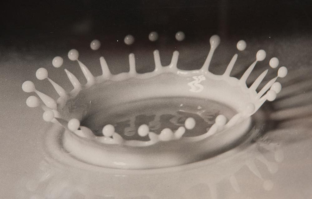 Harold Edgerton Gelatin Silver Print "Milk Drop Coronet"