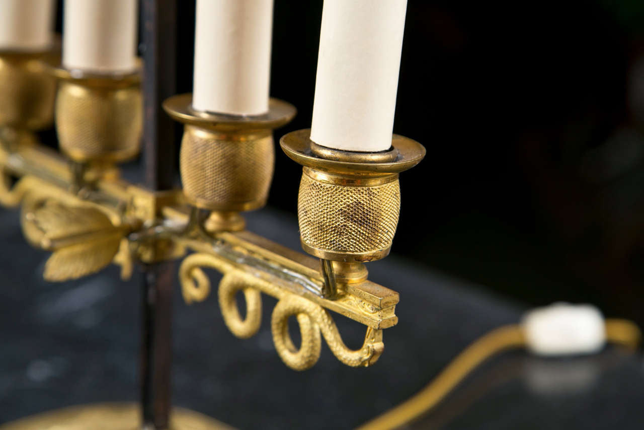 Baltic Tole Peinte Bouillotte Lamp