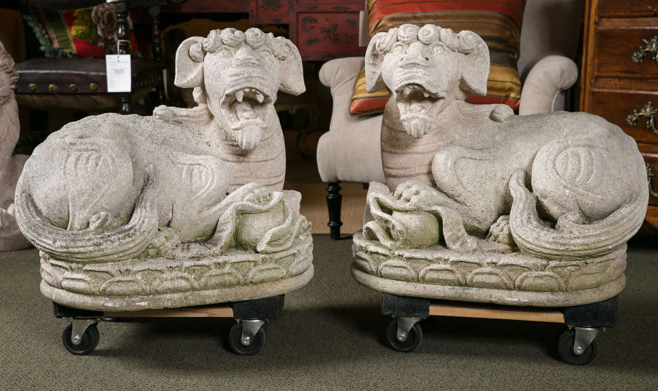 Carved Stone Foo Dogs
