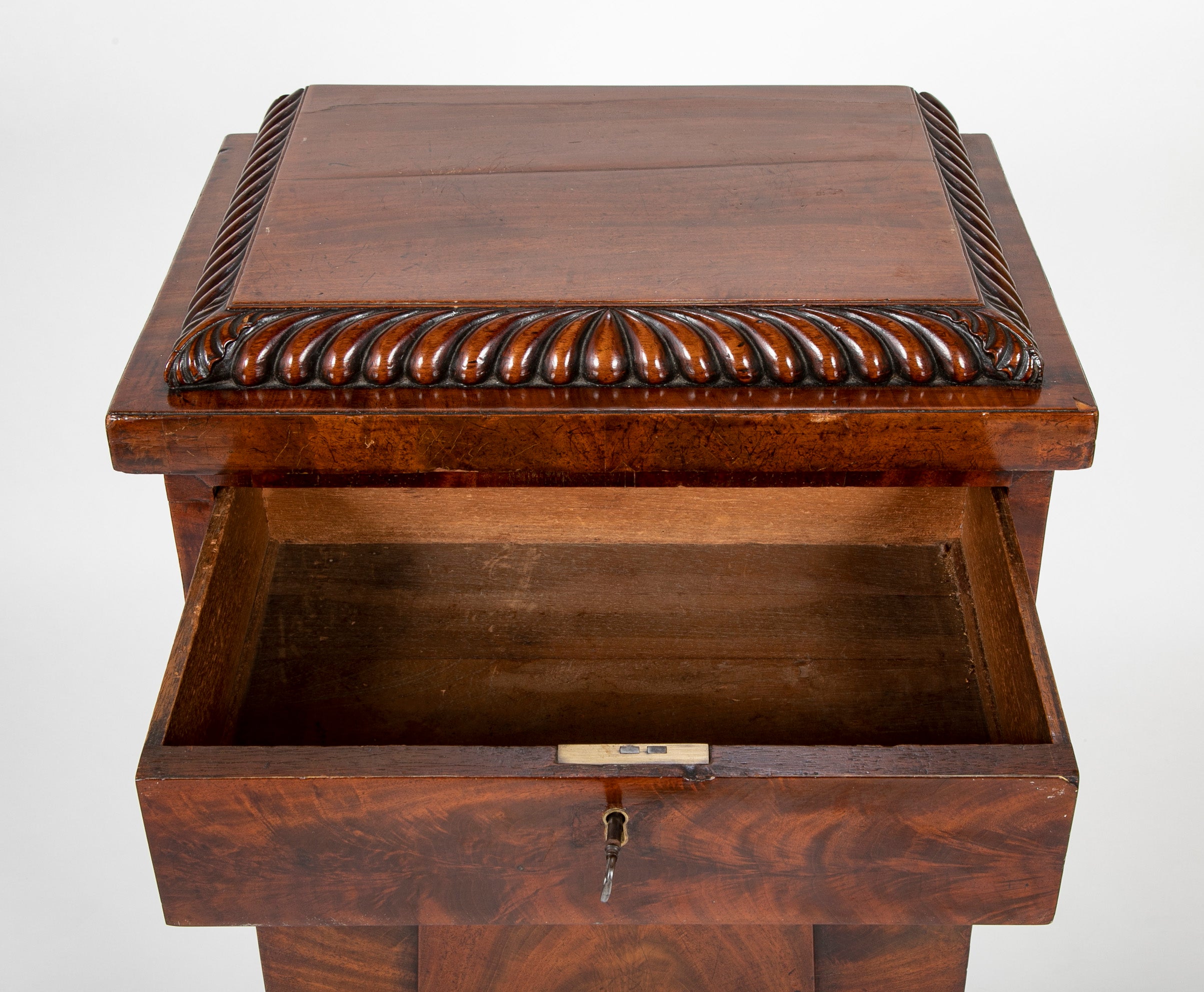 Pair of William IV Mahogany Pedestal Cabinets