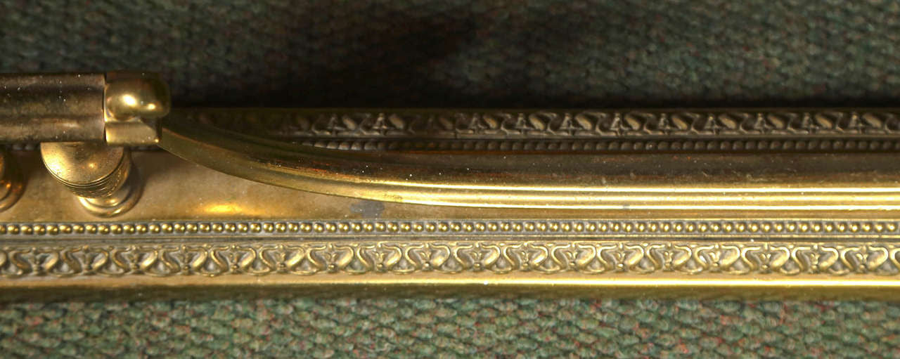 19th Century Bronze Fire Fender