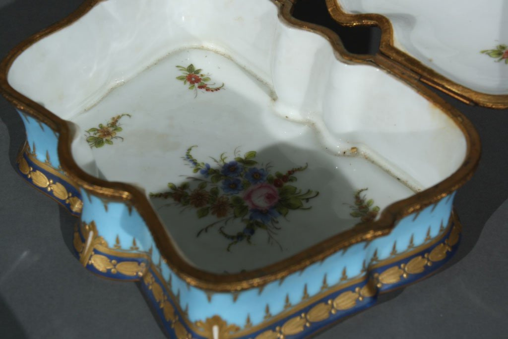 19th Century Sevres Box