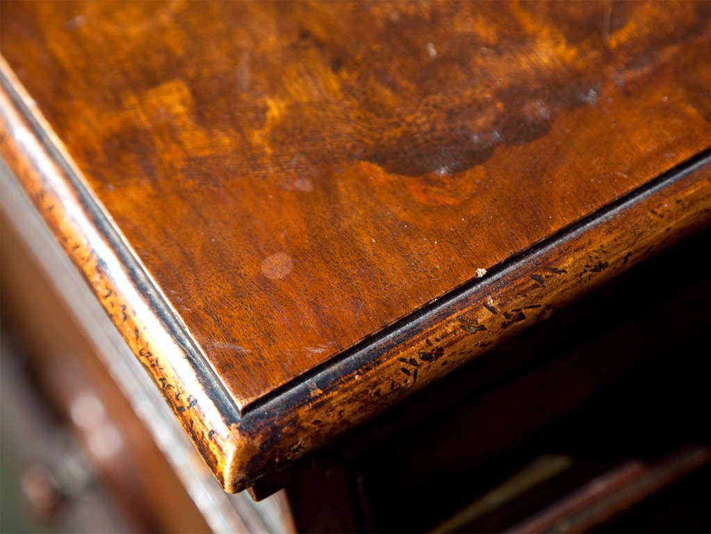 English Burlwood Cabinets