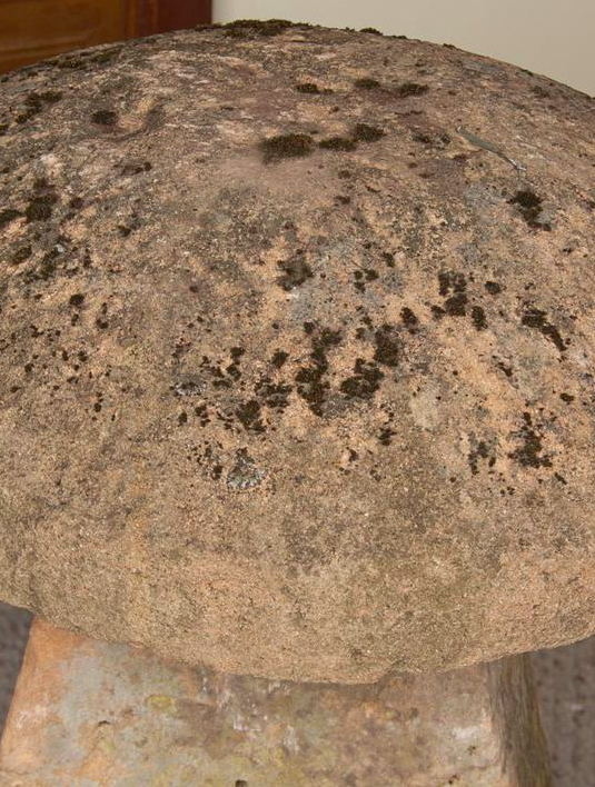 19th Century Staddle Stone