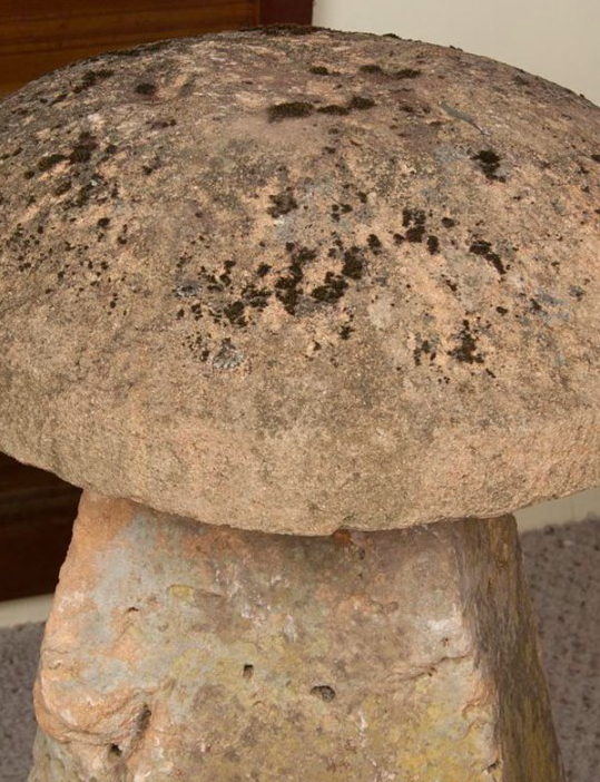 19th Century Staddle Stone