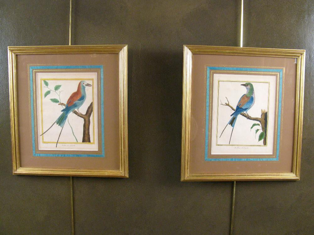 Pair of Martinet - Buffon Engravings