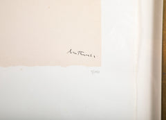 "Africa Suite 9" by Robert Motherwell