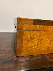 19th Century Regency Elm Wood and Rosewood Box