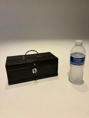 19th Century Dutch Ebony Box With Silver Mounts and Hinges