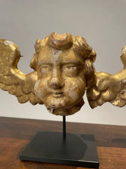 18th Century Italian Gilt Wood Winged Angel Putto