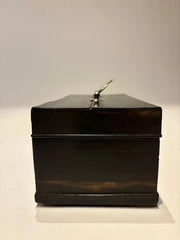 19th Century Dutch Ebony Box With Silver Mounts and Hinges