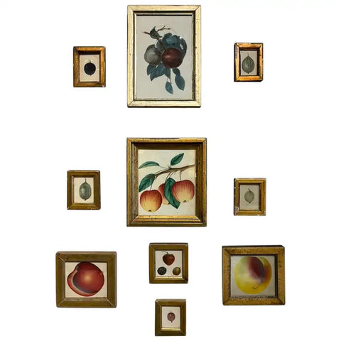 Group of Ten 19th Century Hand Colored Fruit Botanicals in Gilt Wood Frames