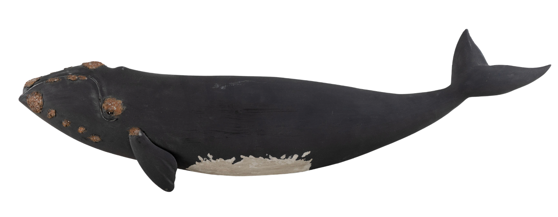 Roger Mitchell Carved and Painted Right Whale Plaque