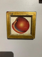 Group of Ten 19th Century Hand Colored Fruit Botanicals in Gilt Wood Frames