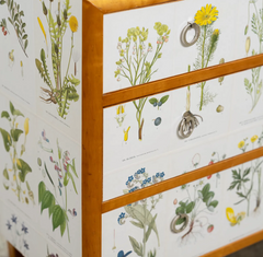 Swedish Chest with Botanical Lithograph Decorated Drawers in The Manner of Josef Frank