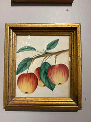 Group of Ten 19th Century Hand Colored Fruit Botanicals in Gilt Wood Frames