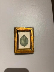 Group of Ten 19th Century Hand Colored Fruit Botanicals in Gilt Wood Frames