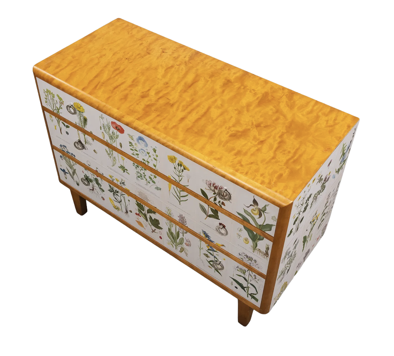 Swedish Chest with Botanical Lithograph Decorated Drawers in The Manner of Josef Frank