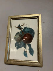 Group of Ten 19th Century Hand Colored Fruit Botanicals in Gilt Wood Frames