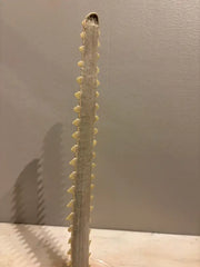 Mid-Century Modern Sawfish Bill on Lucite Base