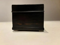 19th Century Dutch Ebony Box With Silver Mounts and Hinges