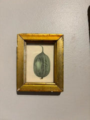Group of Ten 19th Century Hand Colored Fruit Botanicals in Gilt Wood Frames