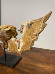 18th Century Italian Gilt Wood Winged Angel Putto