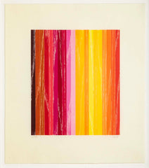 Set of 4 Color Woodcuts by American Contemporary Artist Polly Apfelbaum