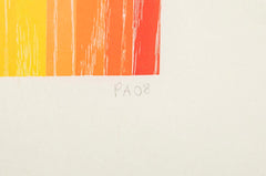 Set of 4 Color Woodcuts by American Contemporary Artist Polly Apfelbaum