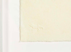 Set of 4 Color Woodcuts by American Contemporary Artist Polly Apfelbaum