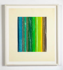 Set of 4 Color Woodcuts by American Contemporary Artist Polly Apfelbaum