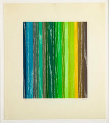 Set of 4 Color Woodcuts by American Contemporary Artist Polly Apfelbaum