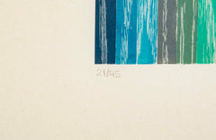Set of 4 Color Woodcuts by American Contemporary Artist Polly Apfelbaum