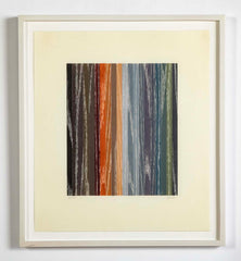 Set of 4 Color Woodcuts by American Contemporary Artist Polly Apfelbaum