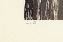 Set of 4 Color Woodcuts by American Contemporary Artist Polly Apfelbaum