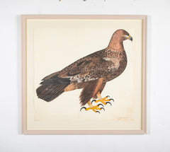 Offset Lithograph of "Golden Eagle, PL 5" from the "The  Great Bird Book" by Olof Rudbeck The Younger