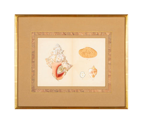 Hirase Wood Block Print From "Thousand Shells" in Custom Gilt Frame