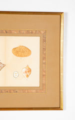 Hirase Wood Block Print From "Thousand Shells" in Custom Gilt Frame