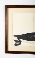 Offset Lithograph of "Black Throated Diver" from the "The  Great Bird Book" by Olof Rudbeck The Younger