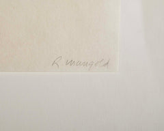 5 Woodcuts in Color by Robert Mangold