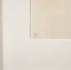 5 Woodcuts in Color by Robert Mangold