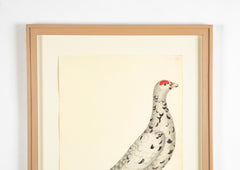 Offset Lithograph of "Black Grouse Leucistic Form, PL 17" from the "The  Great Bird Book" by Olof Rudbeck The Younger