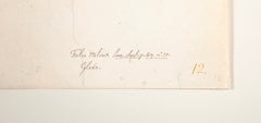Offset Lithograph of "Red Kite, PL 12"  from the "The  Great Bird Book" by Olof Rudbeck The Younger