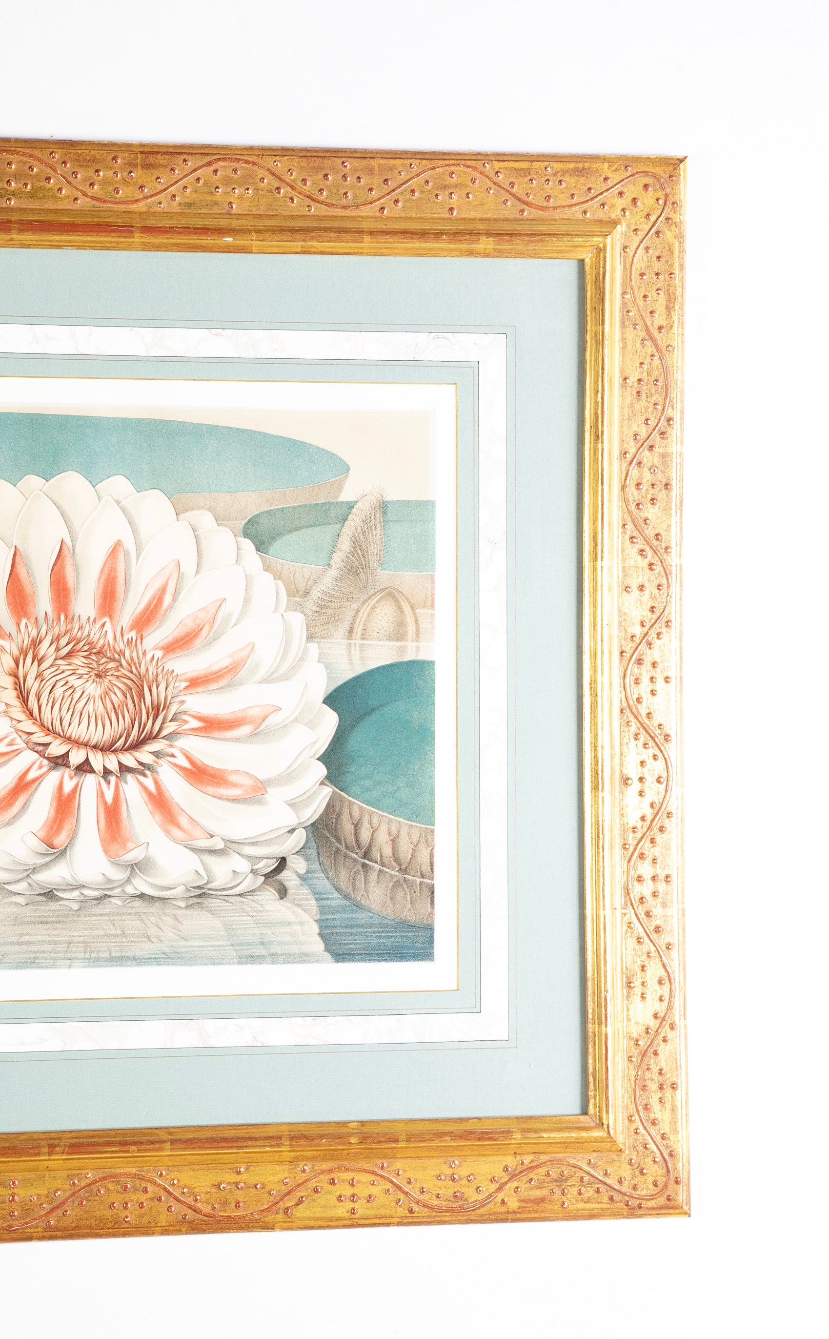 Pair of Chromolithographs of "The Great Water Lily" After John Fisk Allen