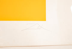 Late 20th Century Untitled Screenprint by Larry Zox