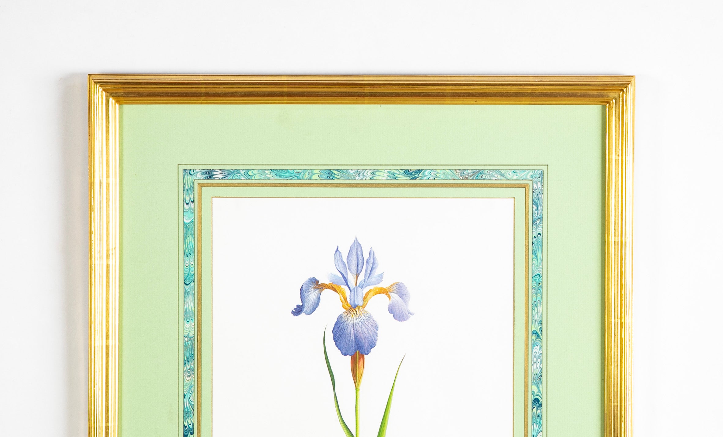 James L. Sain Original Watercolor of an Iris